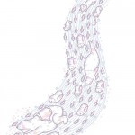 illustration of polar wildlife