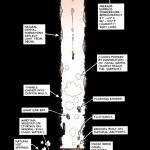 illustration from a comic showing the geography of a martian canyon