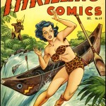 Illustration of a Jungle Heroine wearing leopard bikini falling from a canoe going over a waterfall