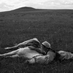 black & white photograph of a young woman stroking a sleeping horse