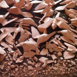 Terracota pigeons shot to smithereens