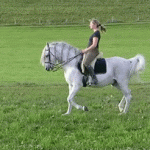 Animated picture of a horse performing passage