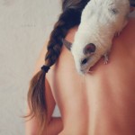 Chinchilla on Lukreszja's back