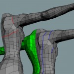 Female back 3D model edges