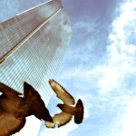 Pigeons caught in mid-flight against a tall glass tower and the sky