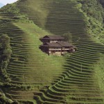 home on terraced hillside in China
