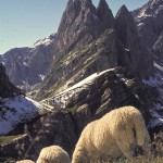 Dolomites by Dr. Hannes Grobe