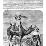 scientific american article showing gatling gun camel