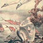 mermaid looking at swimmer's legs