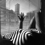 nude with shadows of venetian blinds on body