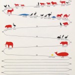 infographic showing how long animals live
