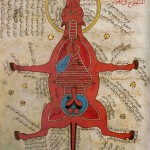 Anatomy of a horse from 15th century Egypt