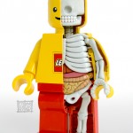 Lego figure anatomy by Jason Freeny