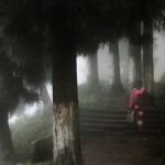 Darjeeling by Christophe Jacrot