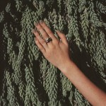 hand and tail -plant journal - todd jordan
