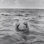 woman nude in sea by herb ritts