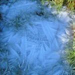 Ice puddle
