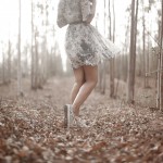 Eucalyptus by Subramaniam Ananthanarayanan