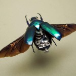 clock-work beetle