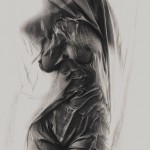 Wet Curtain | Michał Tokarczuk