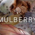 Mulberry by Tim Walker