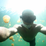 JELLYFISH LAKE, PALAU on Vimeo