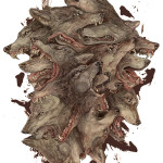 AJ Frena Illustration