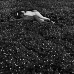 Anémone by Flor Garduño