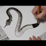 Amazing snake drawing!