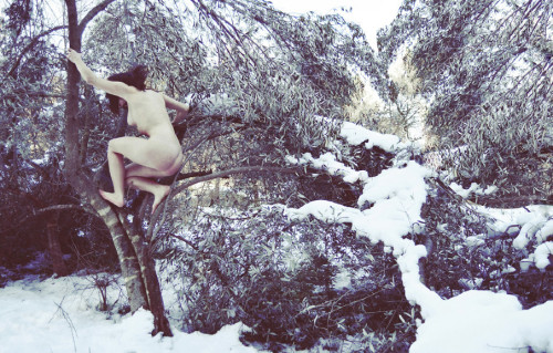 A naked woman climbing up a small tree in the snow - Annalaura Masciavè Photography