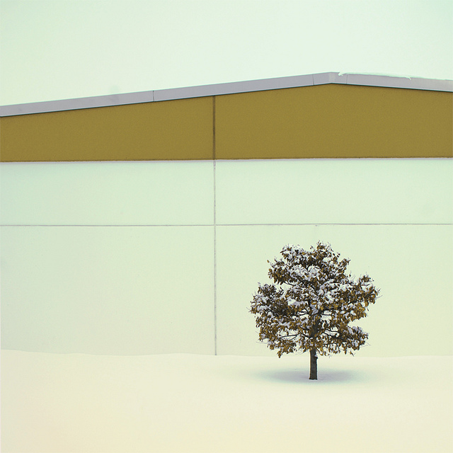 stark photograph of a tree in front of a warehouse in the snow