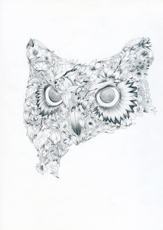 black & white illustration of an owl