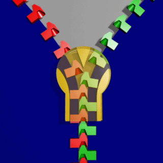 Animated graphic of a zipper mechanism.
