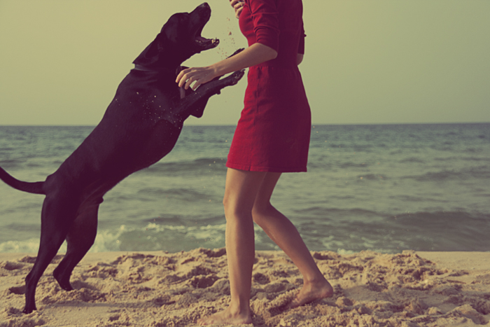 Black dog and girl in red dress on the beach