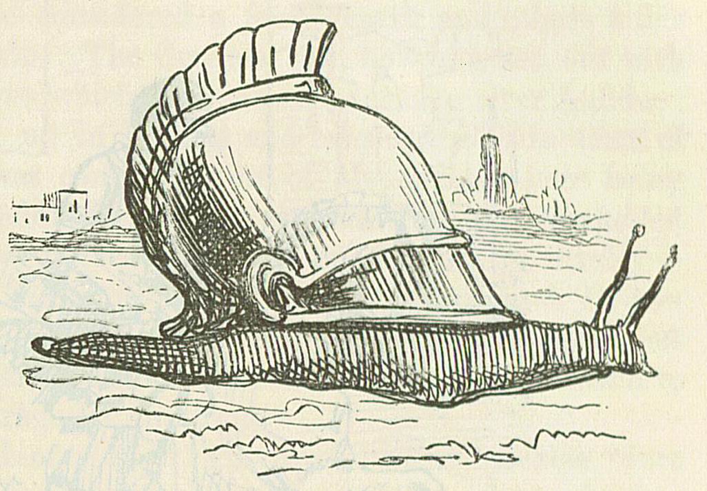 Snail with a Roman helmet as shell - Comic History of Rome