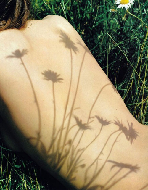 The shadows of flowers on Rosie Huntington-Whiteley's nude back