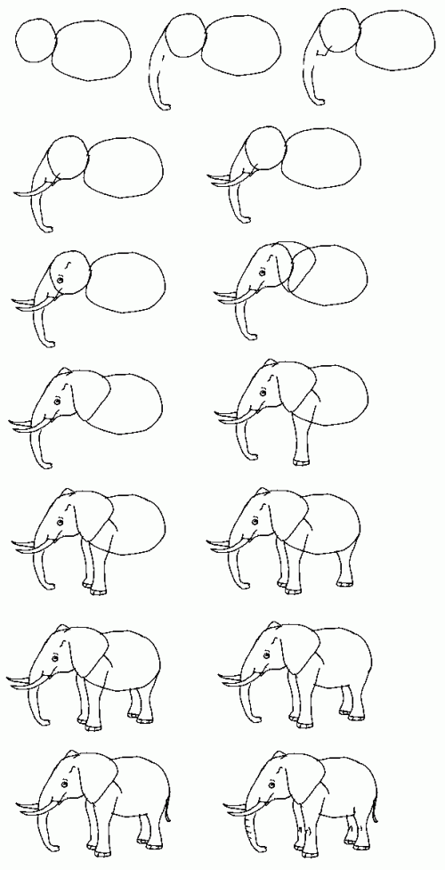 Elephant drawing step by step