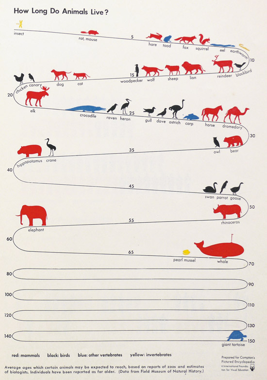 infographic showing how long animals live
