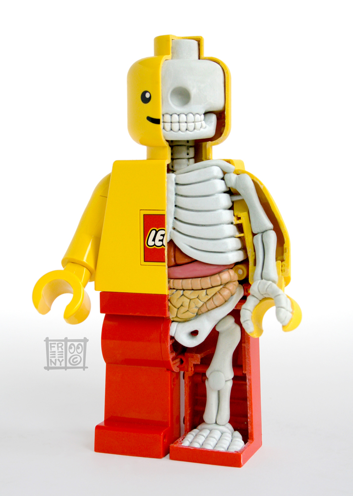 Lego figure anatomy by Jason Freeny