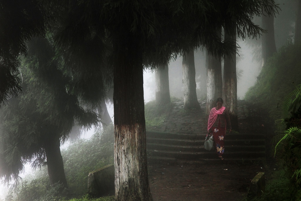 Darjeeling by Christophe Jacrot