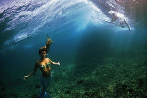 Mermaid Hannah Fraser in the Maldives