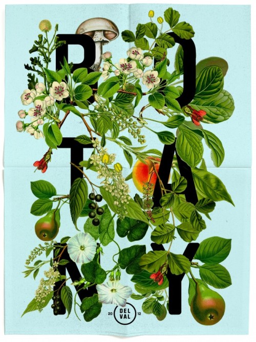 DelVal Botany Mailer : Daniel Blackman