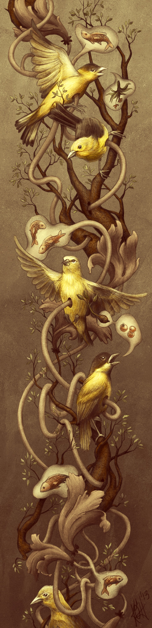 GOLDFINCH - Kate O'Hara - biological Illustration