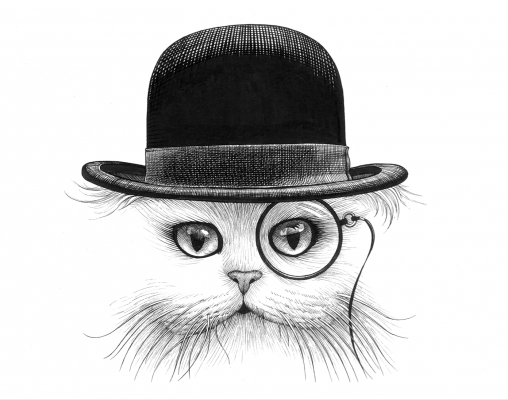 Cat in a Hat 3 by Rory Dobner - ink drawing